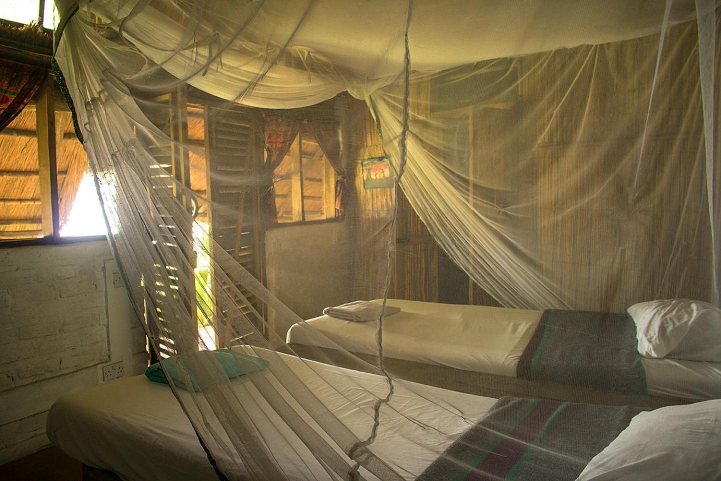 Mgoza Lodge Cape Maclear Room photo